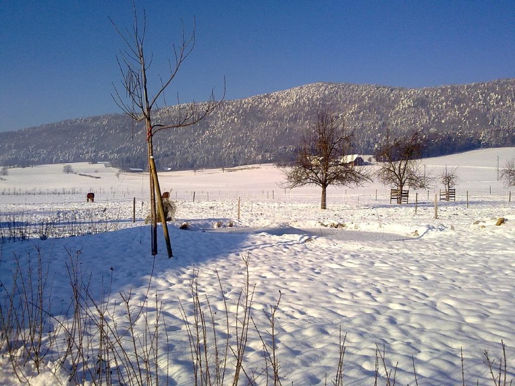 Hotel-Gite Rural A 3 Km De Delemont Courcelon Luaran gambar